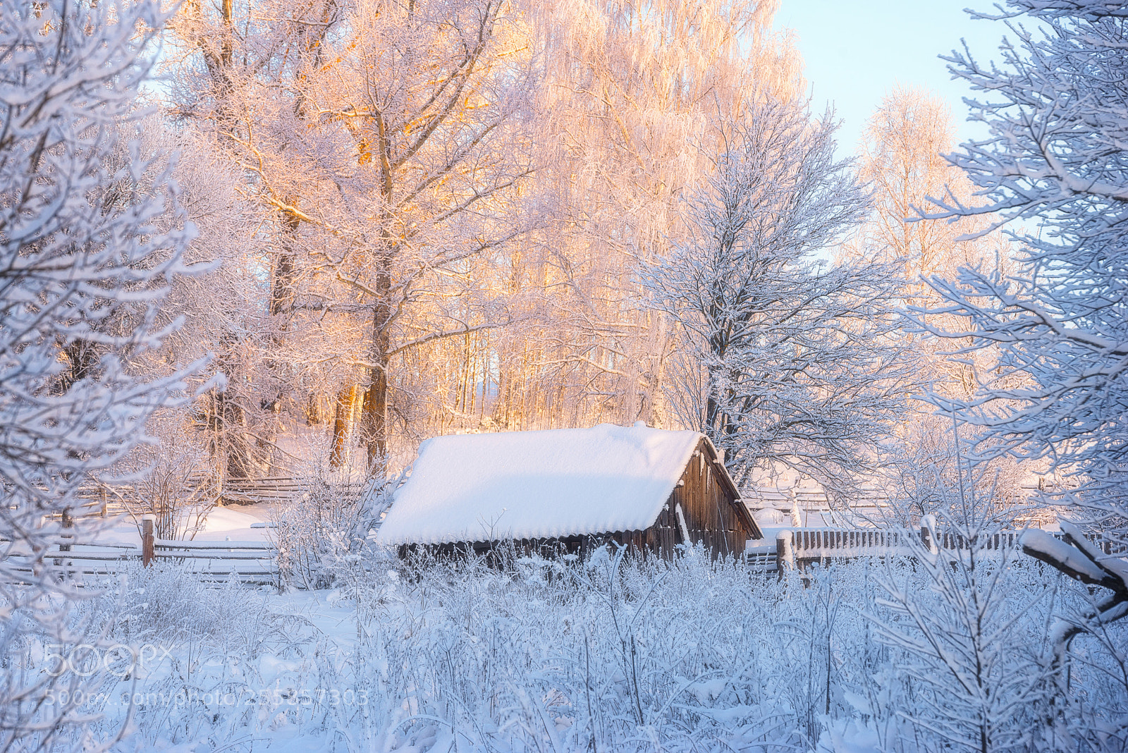 Nikon D610 sample photo. 909. winter in the photography