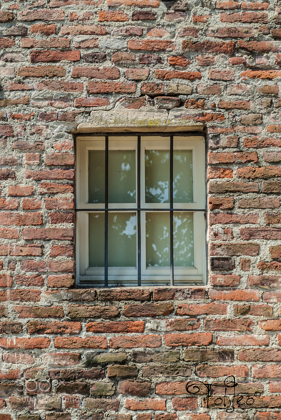 Nikon D3000 sample photo. Window photography