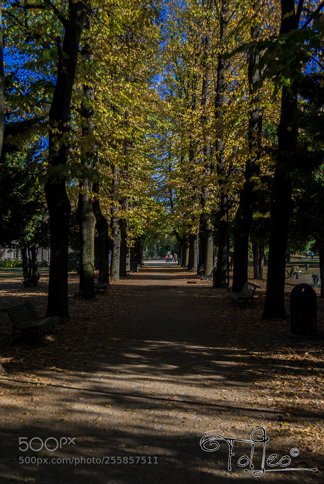 Nikon D3000 sample photo. Way photography