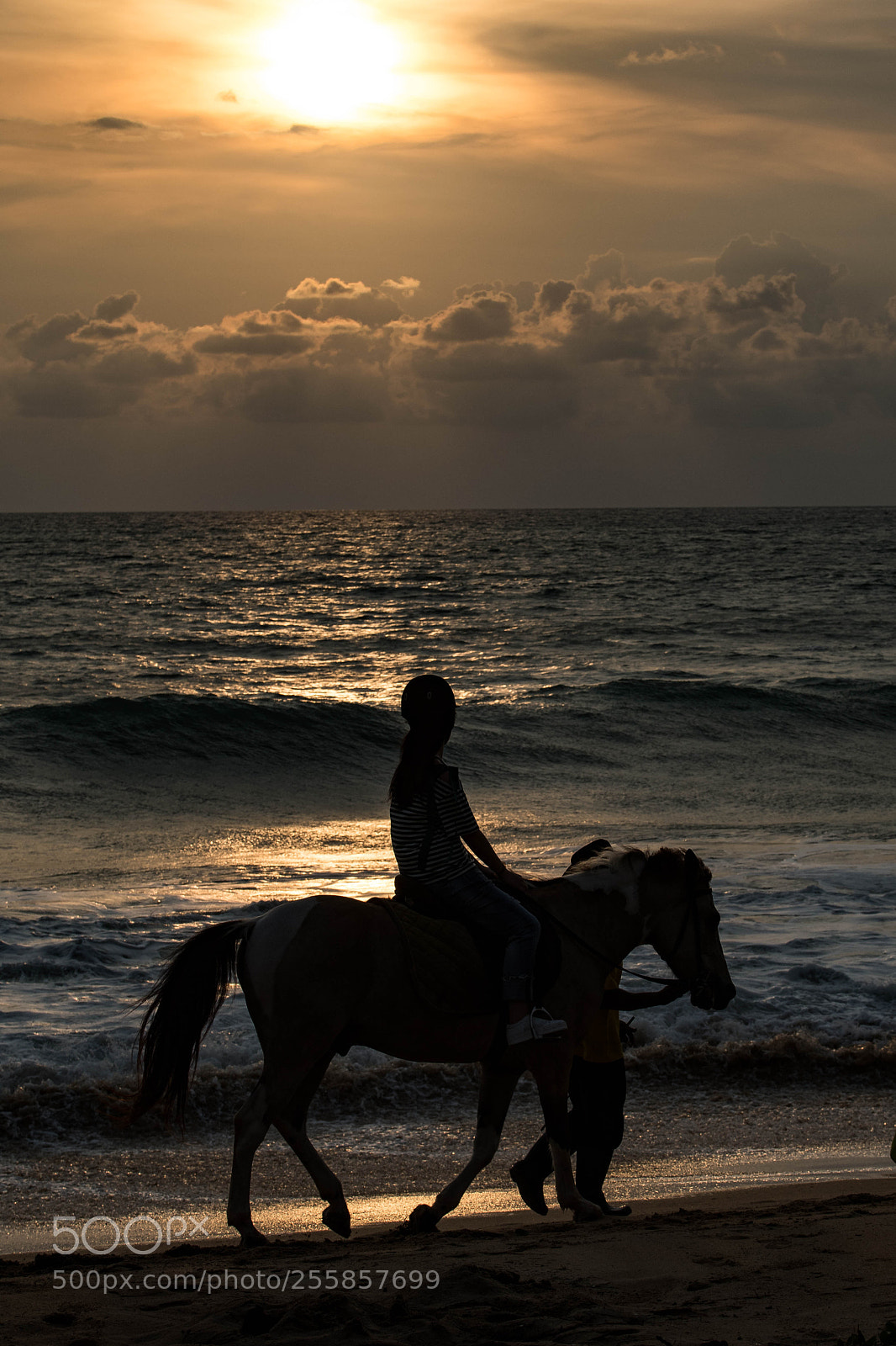 Nikon D500 sample photo. Riding at the sea photography