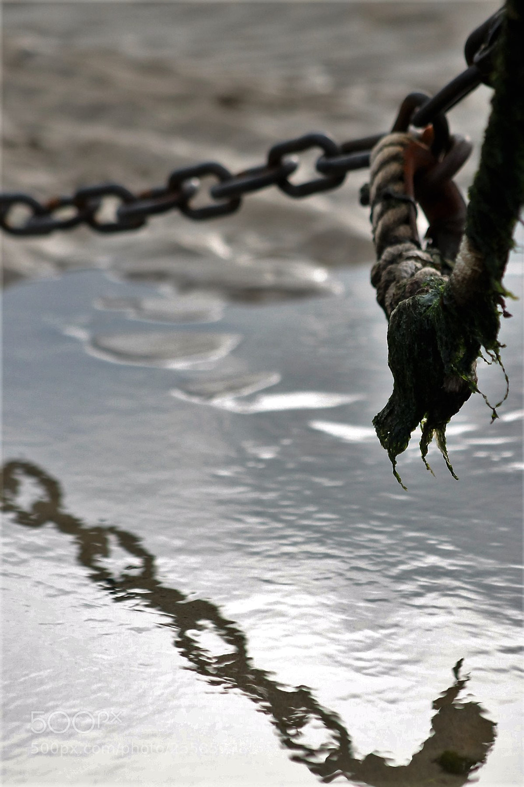 Canon EOS 1100D (EOS Rebel T3 / EOS Kiss X50) sample photo. Rope reflction photography
