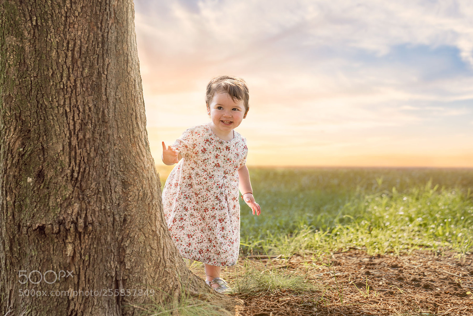 Sony a7R II sample photo. Guillermina photography