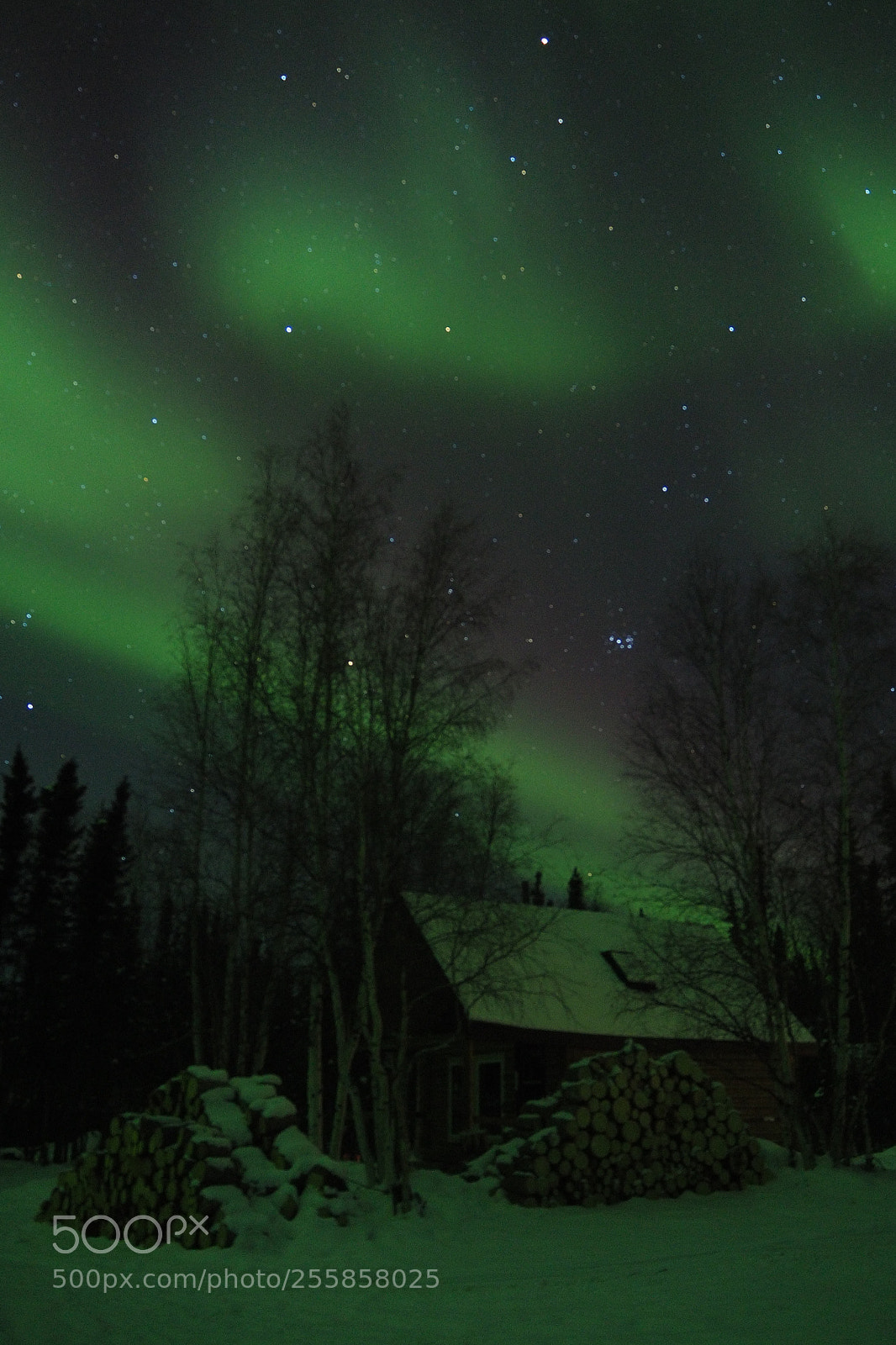 Olympus OM-D E-M10 II sample photo. Aurora in the nwt photography