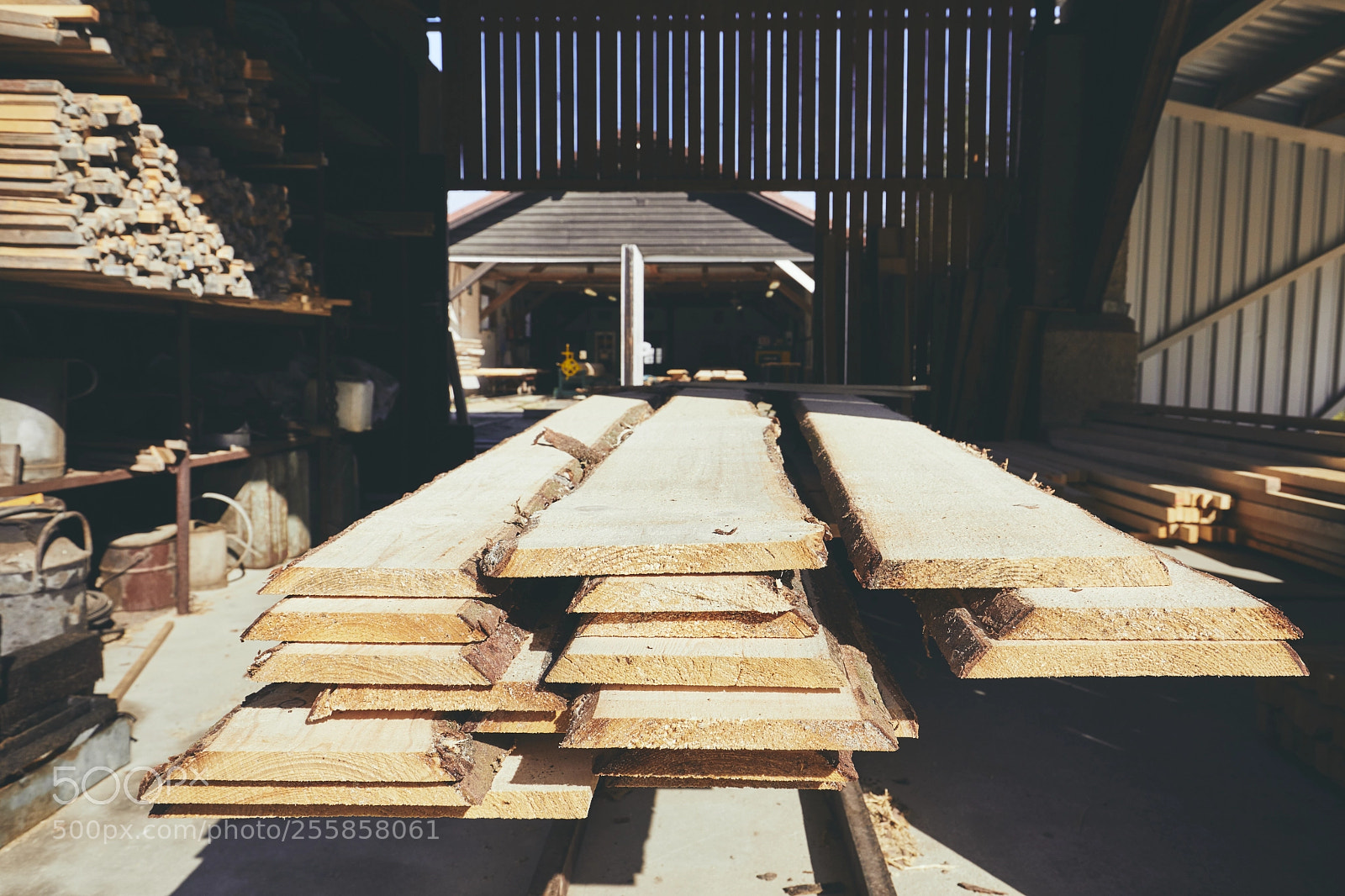 Canon EOS 5D Mark IV sample photo. Production at the sawmill photography