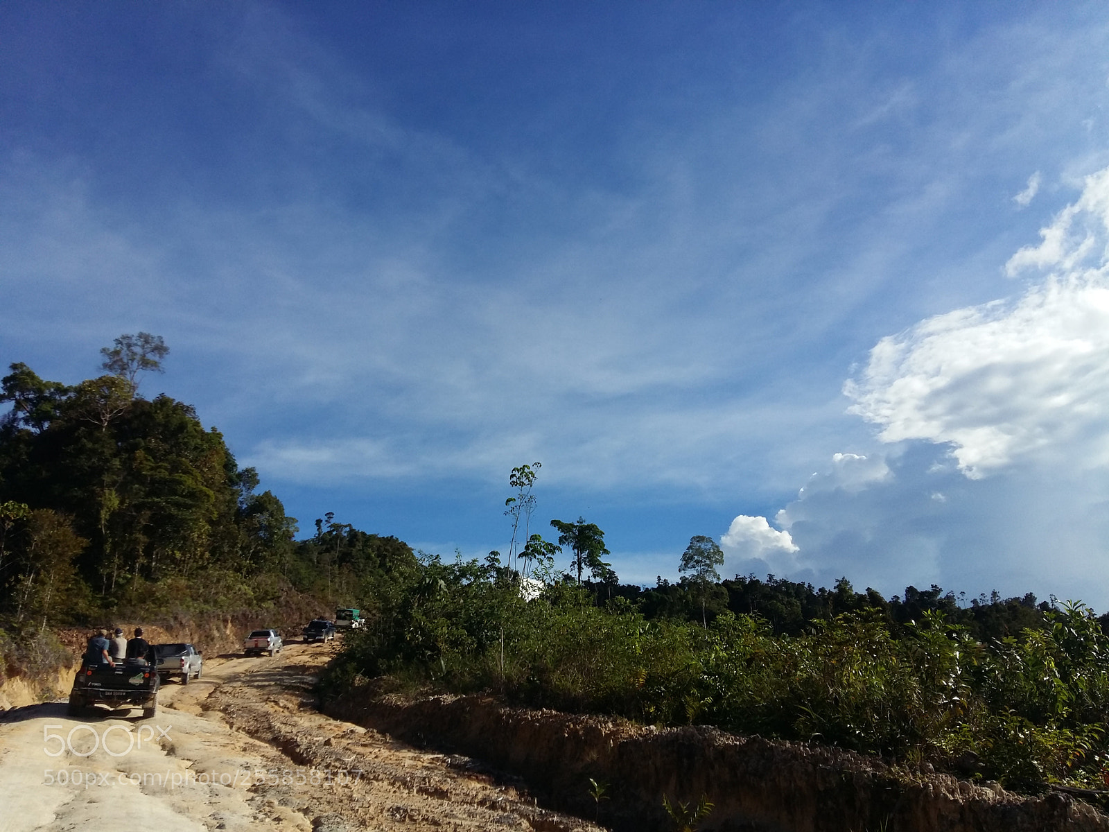 Samsung Galaxy A5 sample photo. Malaysian borneo 1 photography