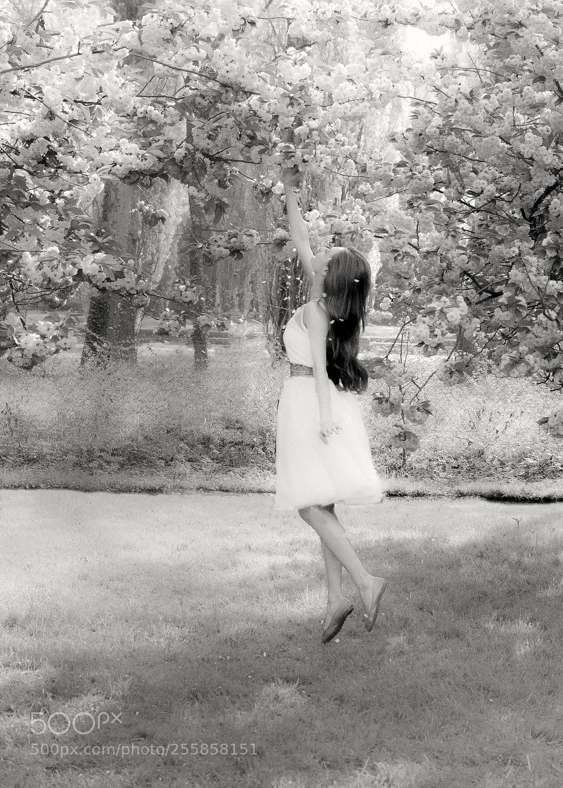 Fujifilm X-T2 sample photo. Magie photography