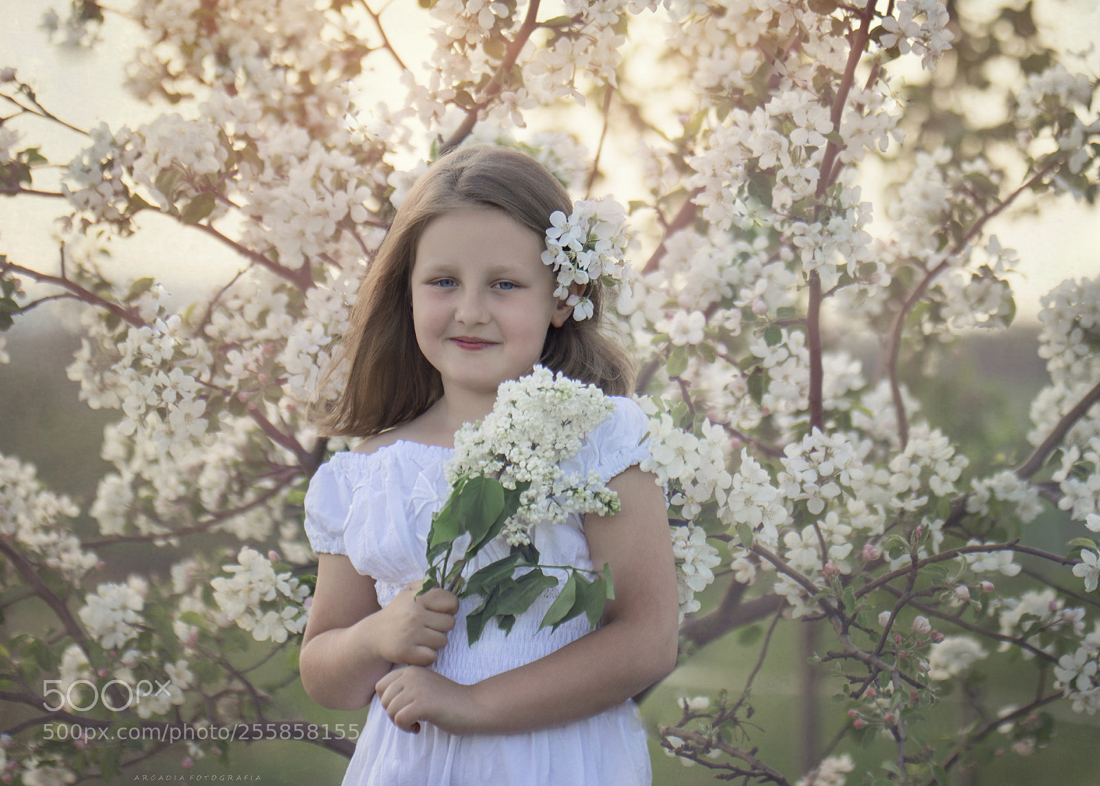 Nikon D5300 sample photo. . photography