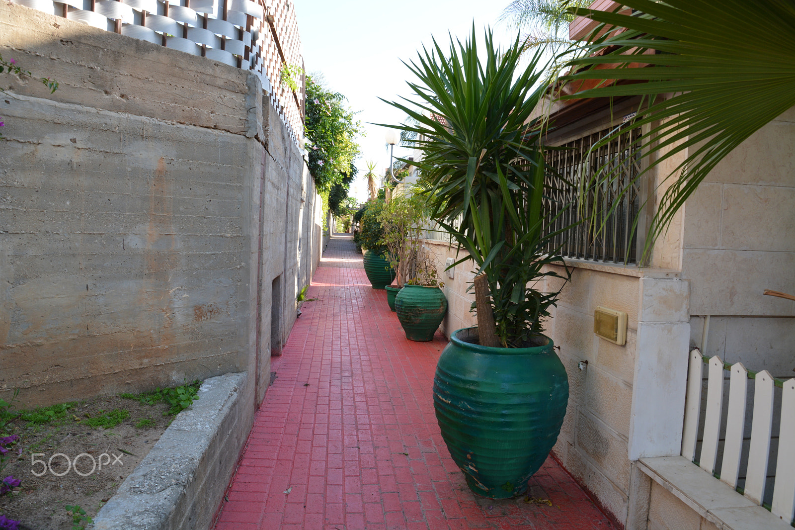Nikon D7100 sample photo. Even haezer photography
