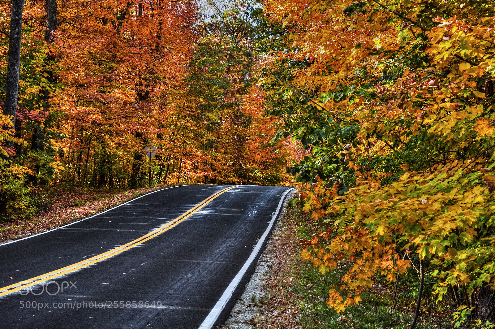 Nikon D5000 sample photo. Fall edit enhancer photography