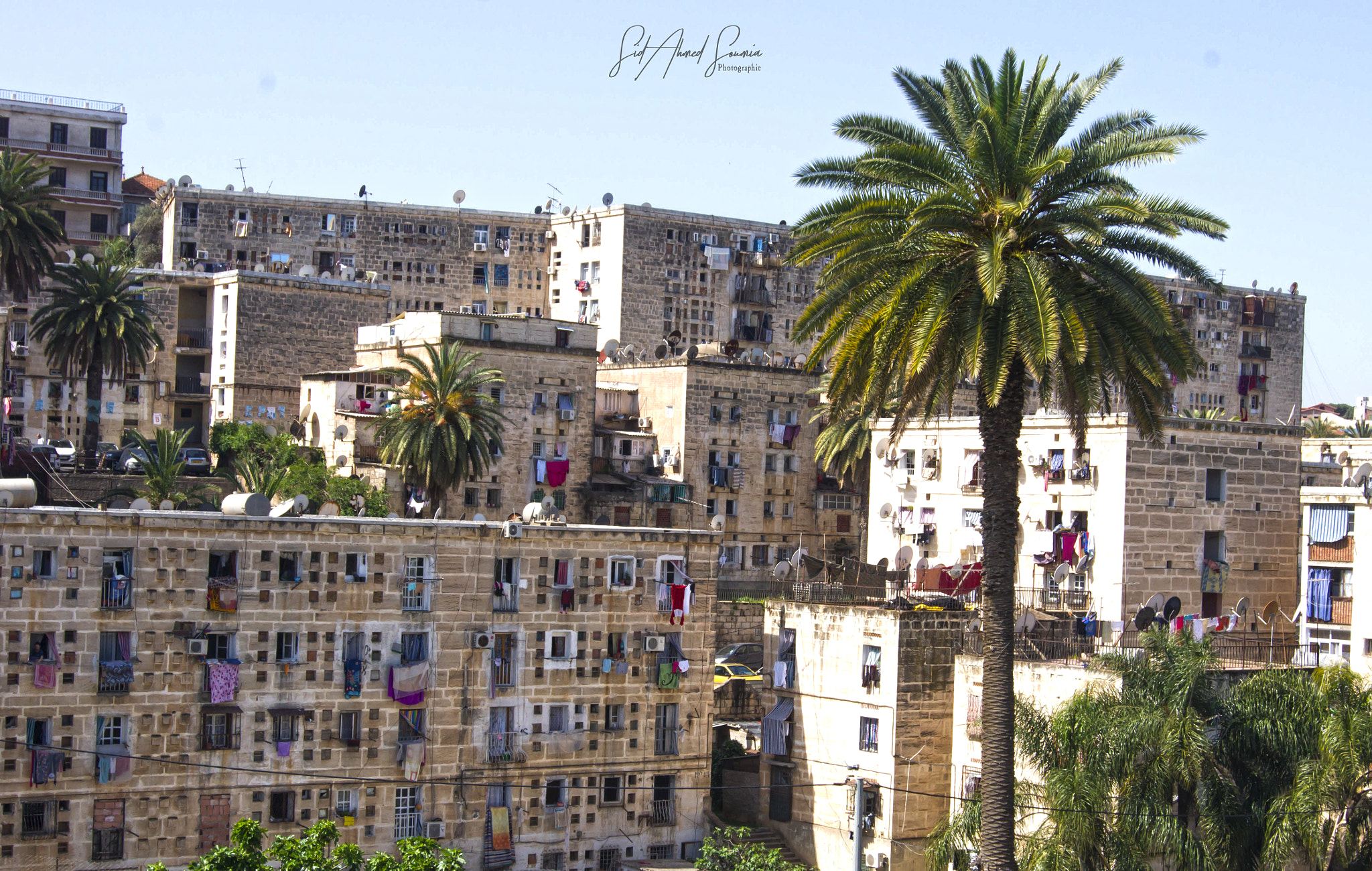 Sony Alpha DSLR-A450 sample photo. Algiers photography
