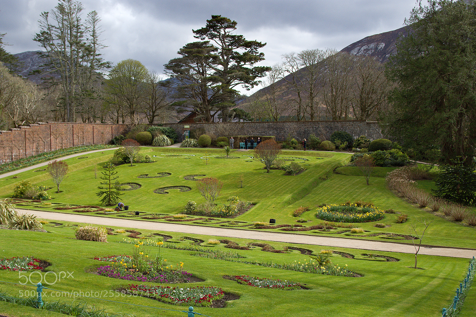 Nikon D7200 sample photo. Kylemore garden photography