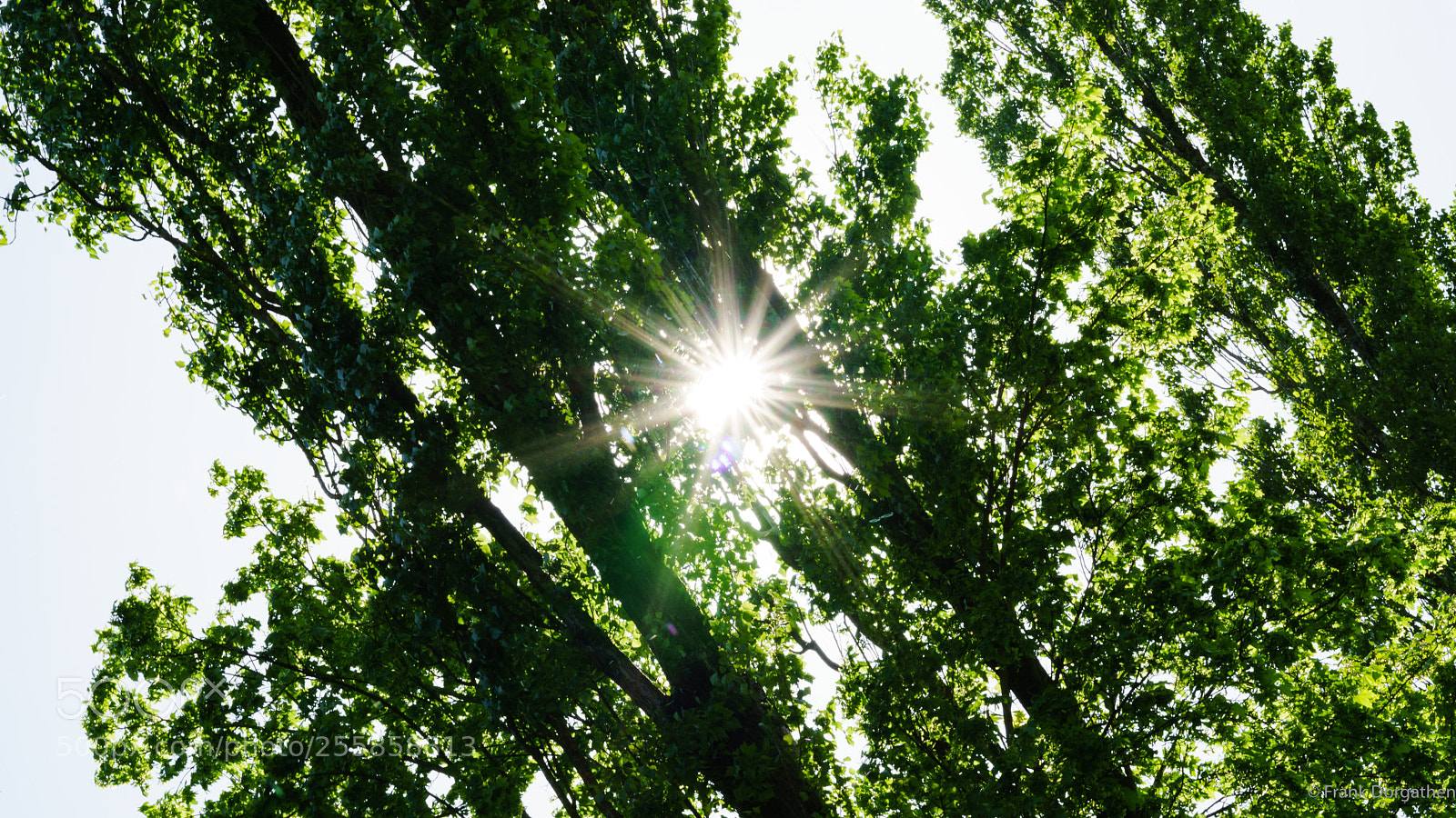 Sony a6000 sample photo. Sun star photography