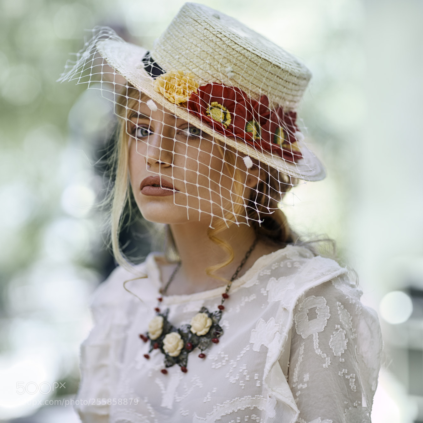 Canon EOS 5D Mark IV sample photo. Rose photography