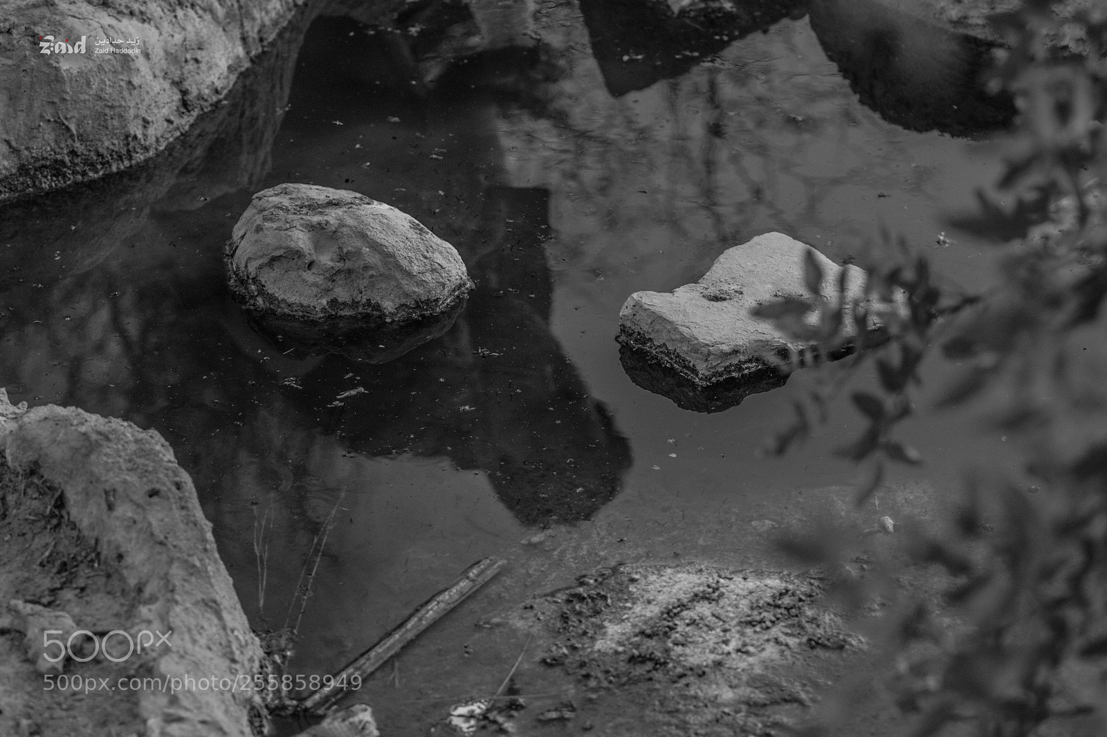 Canon EOS 80D sample photo. Pool reflaction photography
