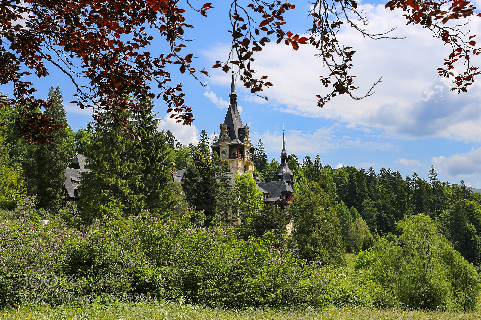 Canon EOS 6D sample photo. Peles castle photography