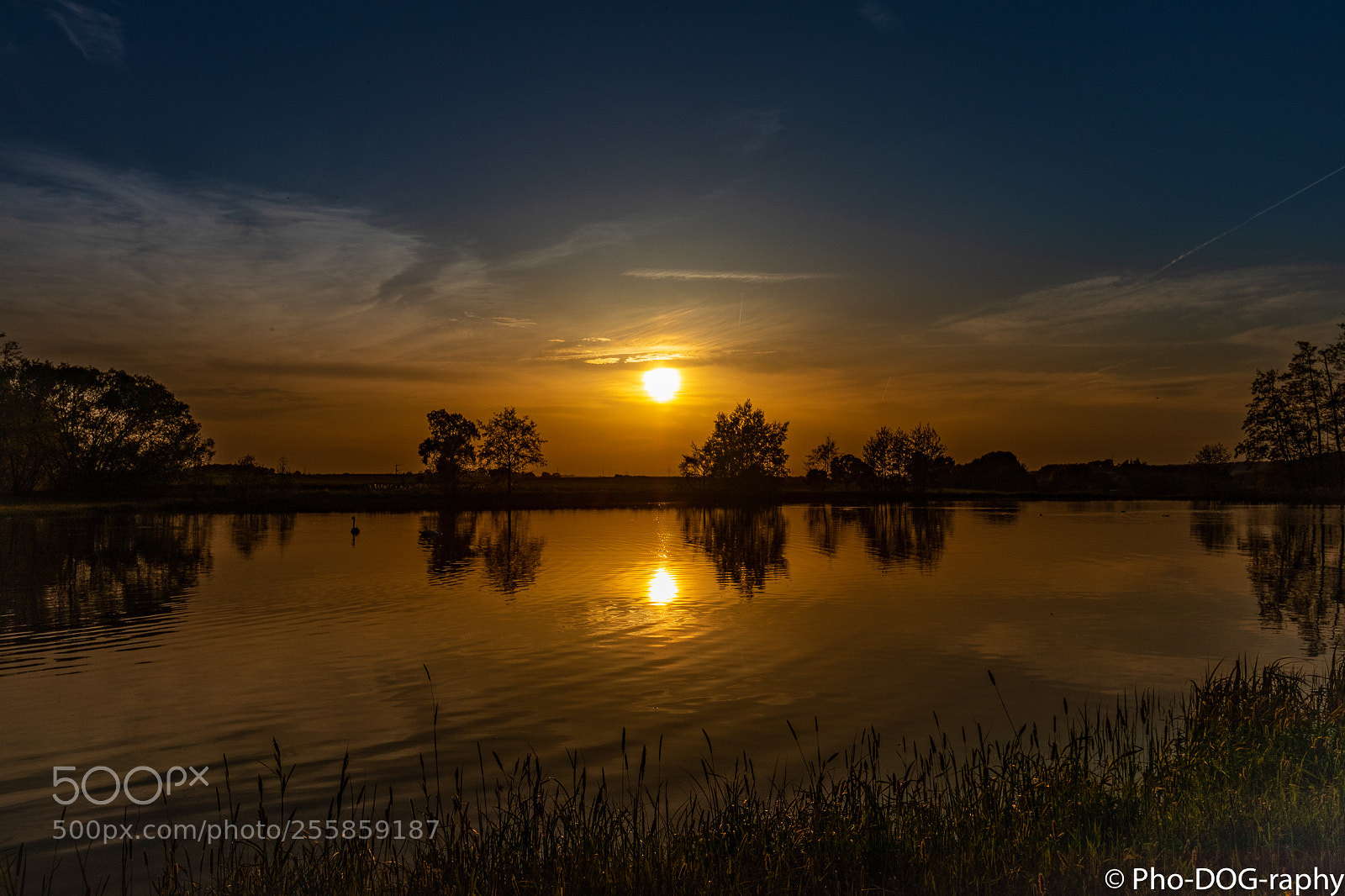 Canon EOS 80D sample photo. Silent lake photography