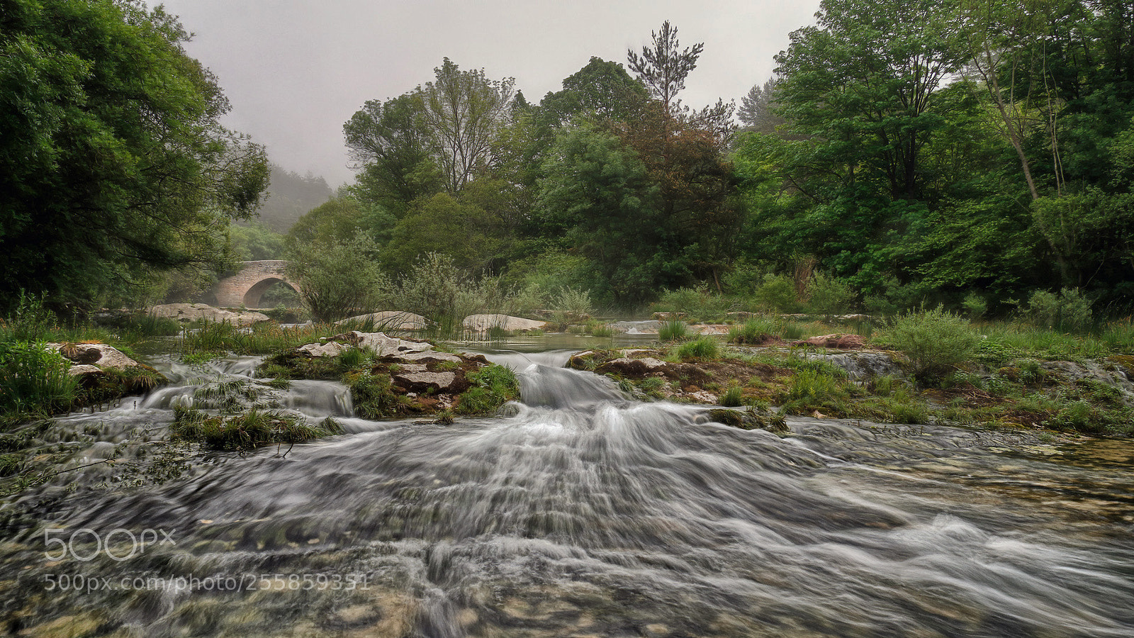 Canon EOS 70D sample photo. Corriente / flowing photography