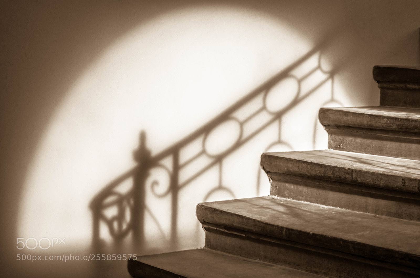 Nikon D800E sample photo. Escalier photography