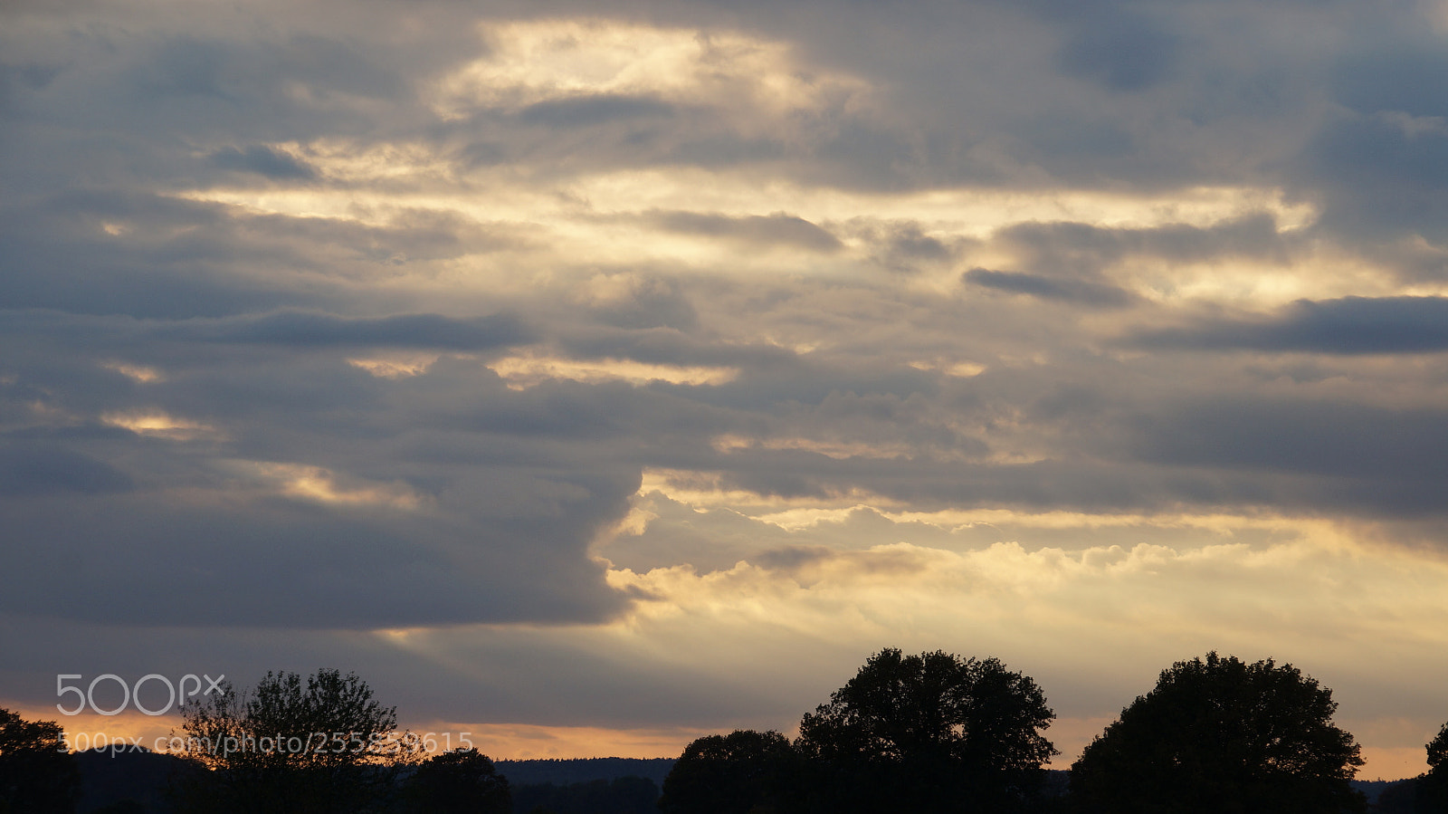 Sony Alpha NEX-5N sample photo. Evening at the countryside photography