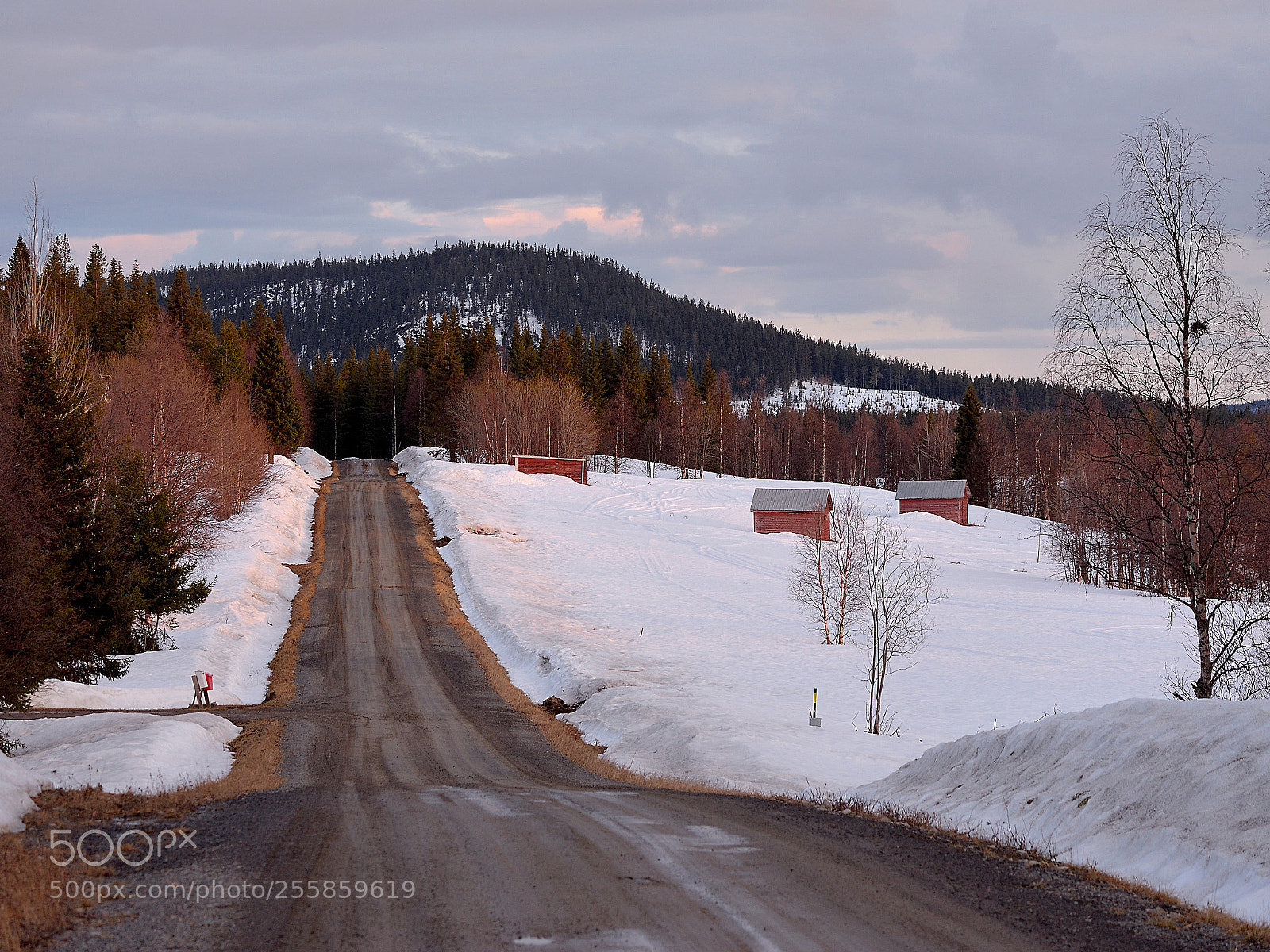 Nikon D610 sample photo. Lapland noir photography
