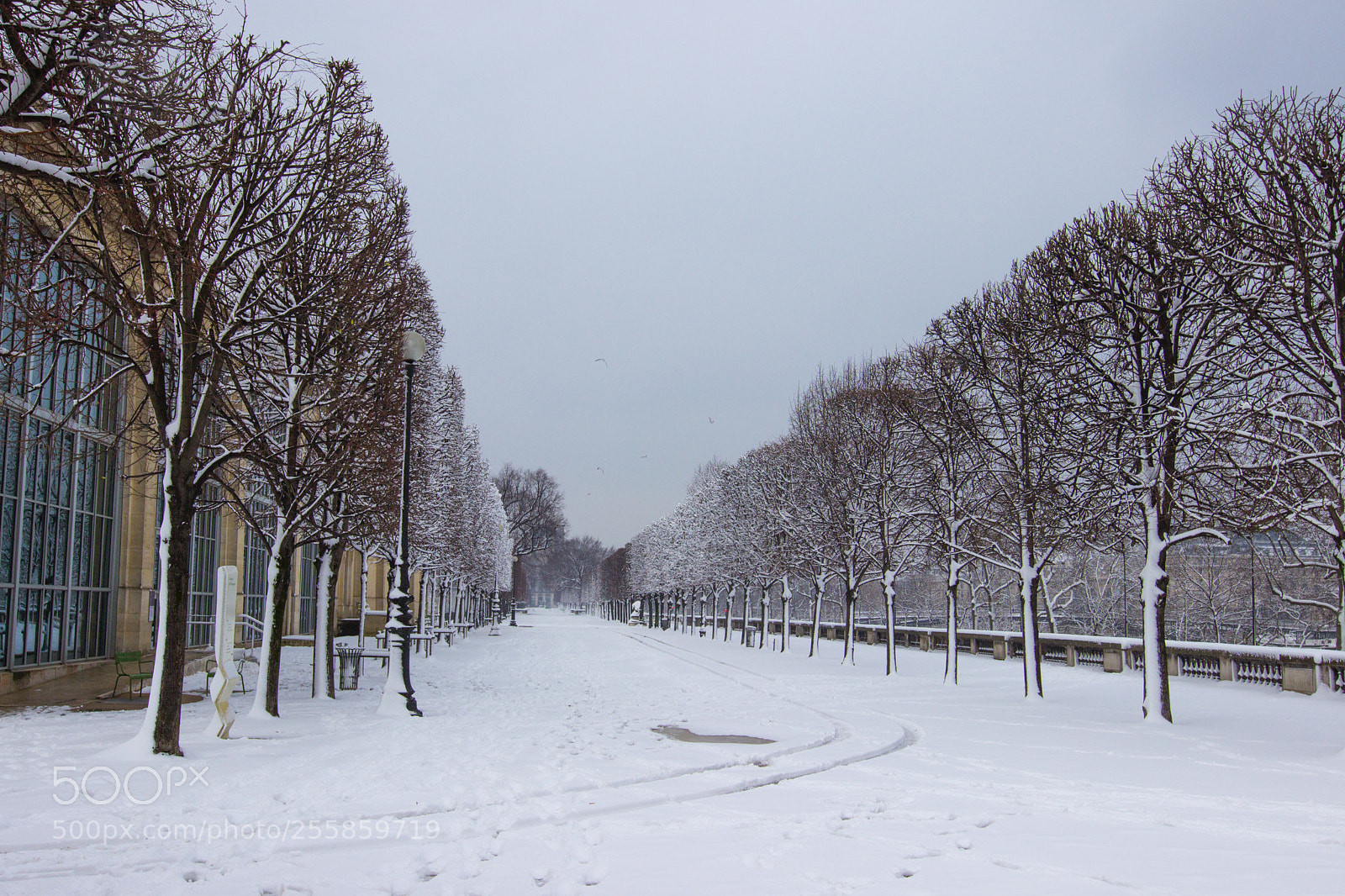 Canon EOS 600D (Rebel EOS T3i / EOS Kiss X5) sample photo. L'orangerie photography
