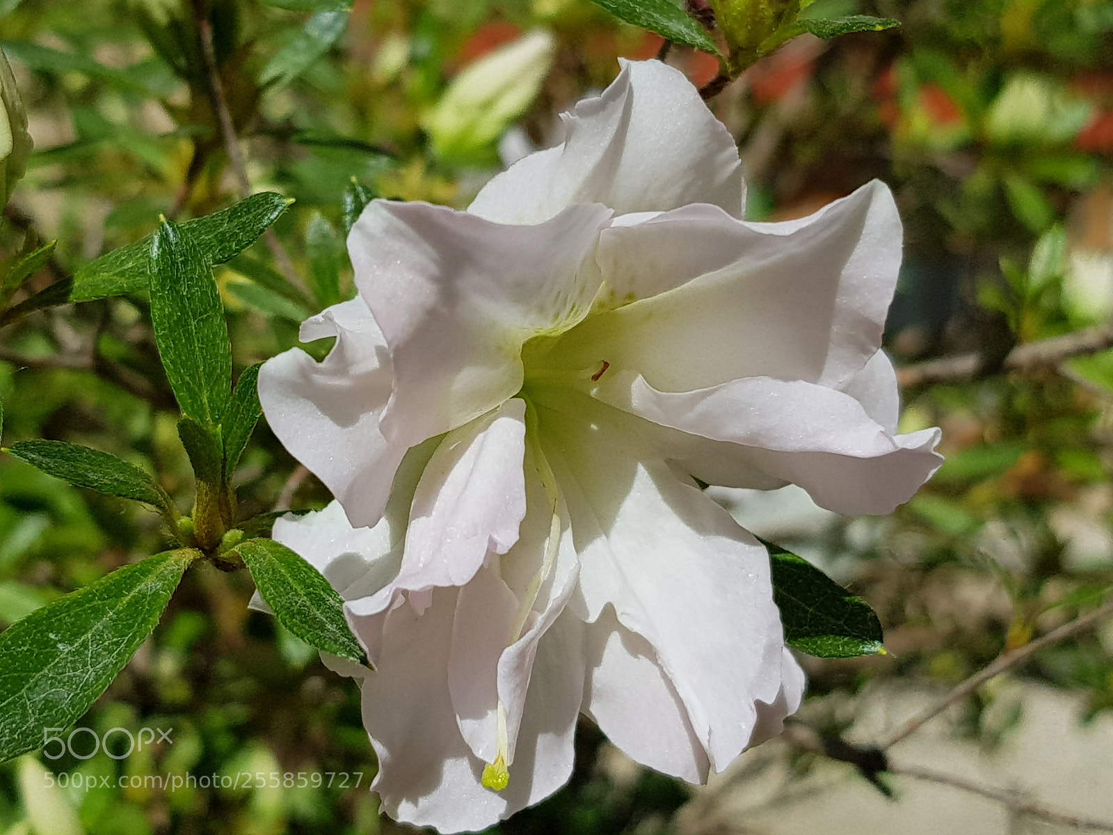 Samsung Galaxy S8 sample photo. Untitled photography