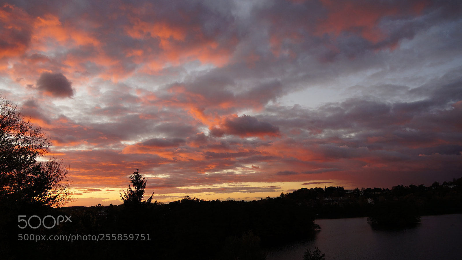 Sony Alpha NEX-5N sample photo. Sunset plöner seenplatte photography