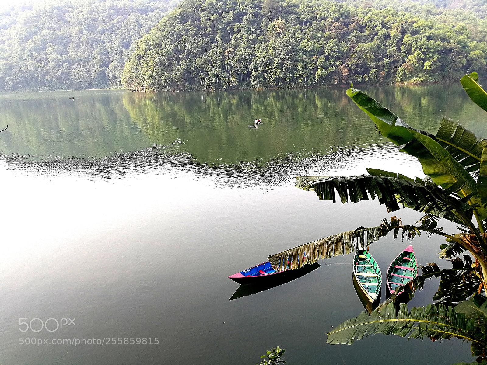 HUAWEI P10 Plus sample photo. A calm reflection photography