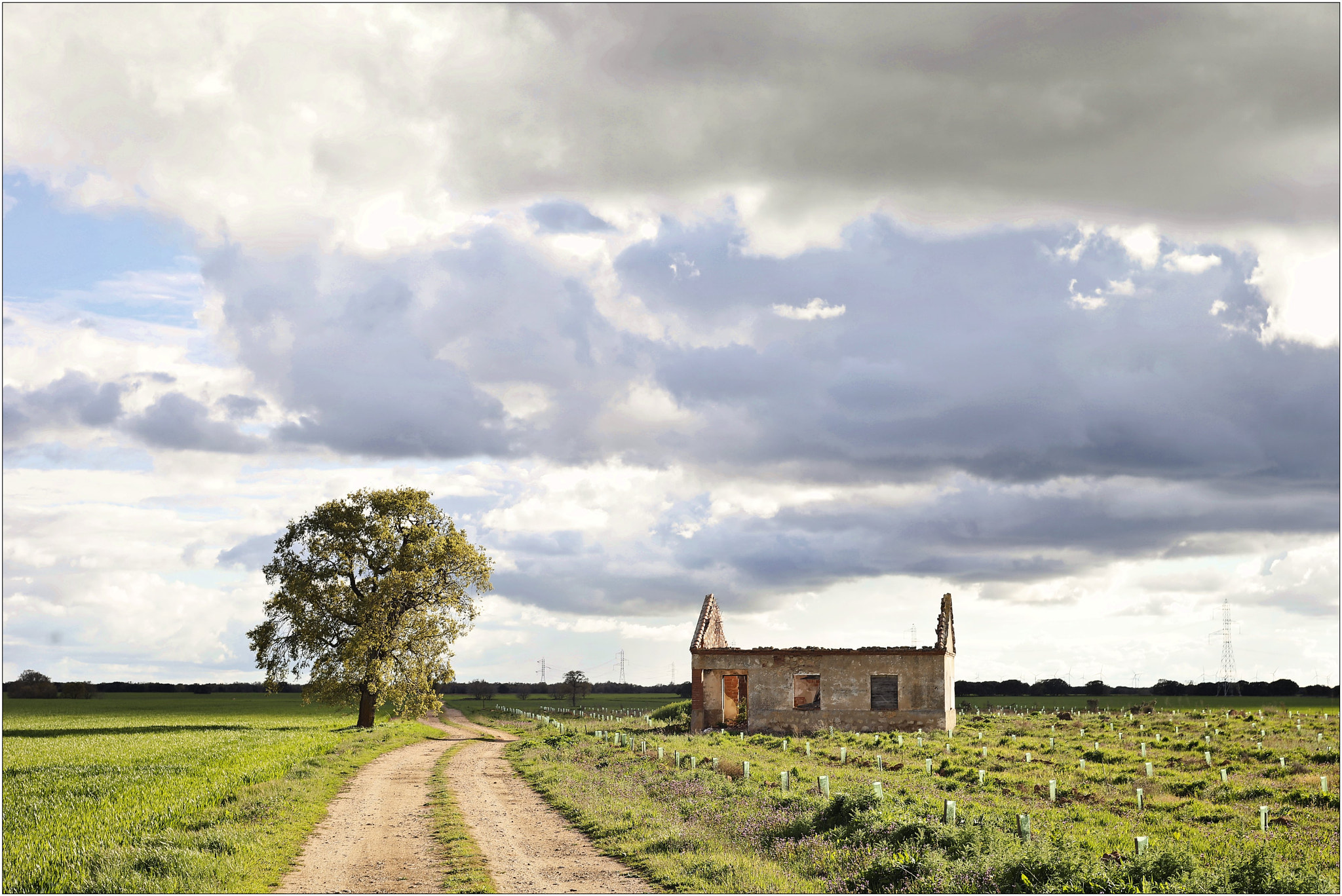 Canon EF 28-80mm f/3.5-5.6 sample photo. Los dos lados / both sides photography