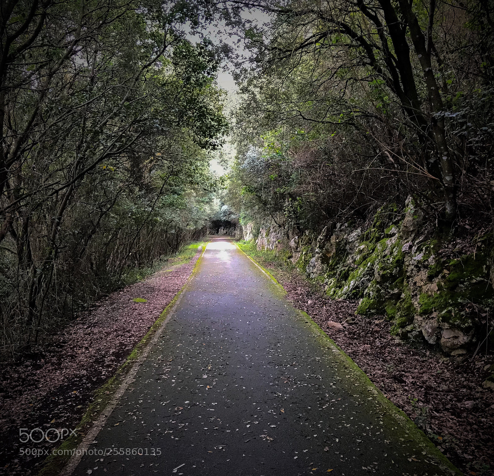 Apple iPhone 7 sample photo. Santo a walkway by photography