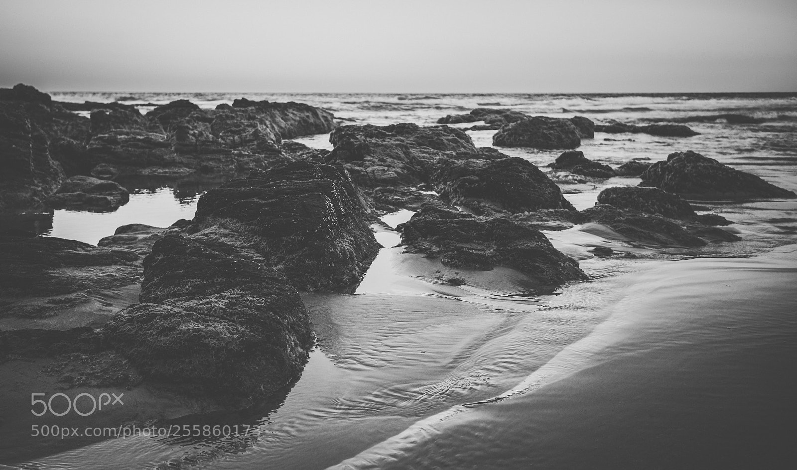 Nikon D800 sample photo. Coolum beach at the photography