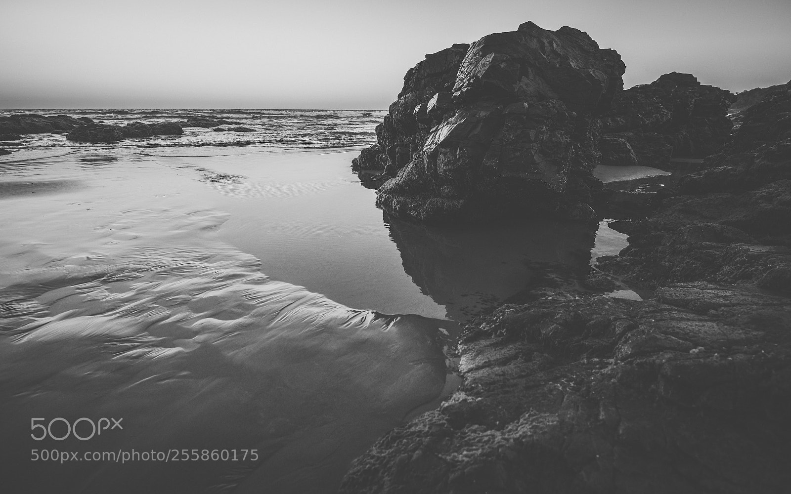 Nikon D800 sample photo. Coolum beach at the photography