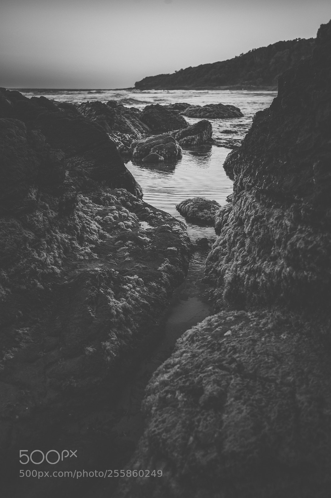 Nikon D800 sample photo. Coolum beach at the photography