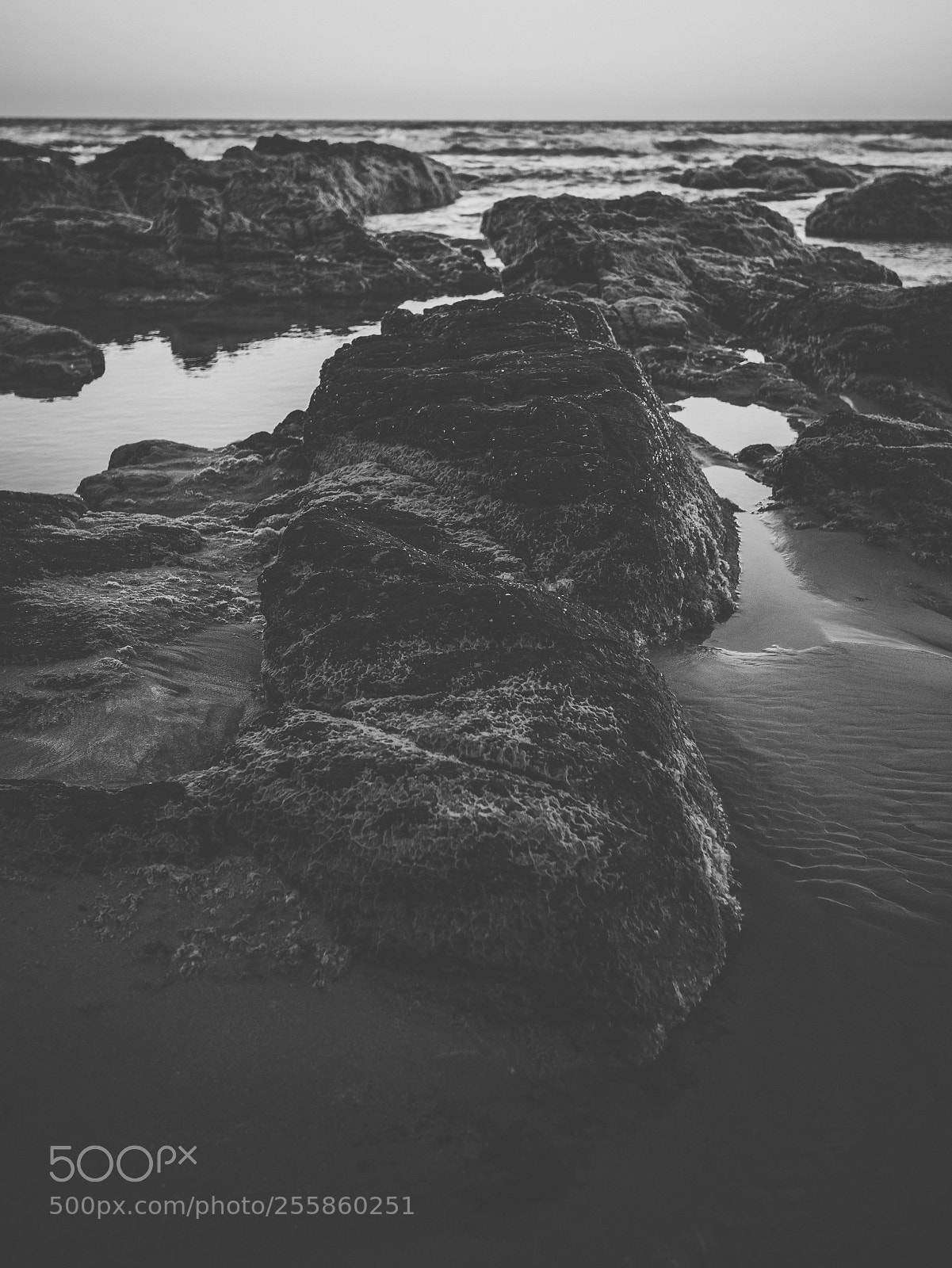 Nikon D800 sample photo. Coolum beach at the photography