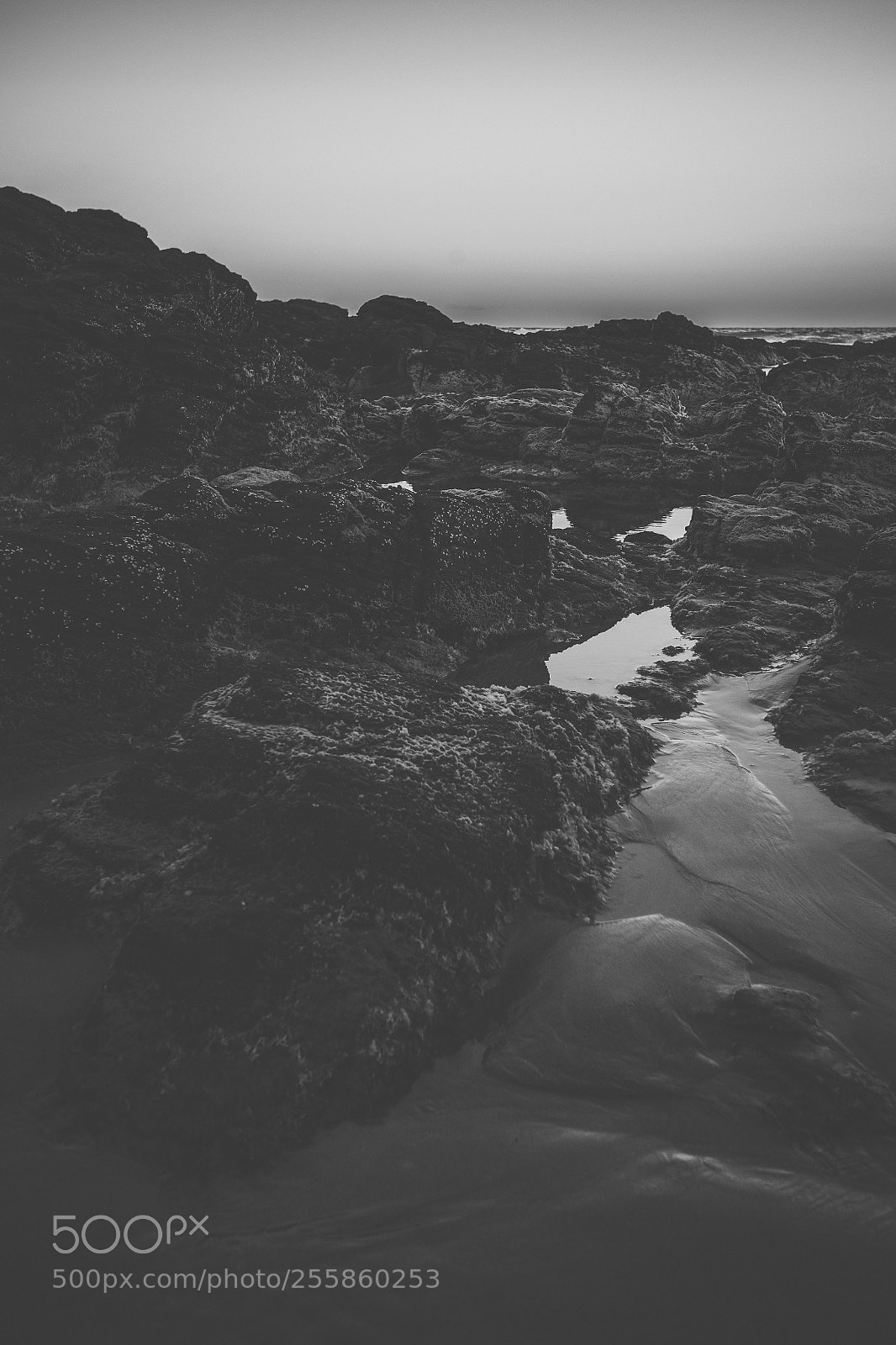Nikon D800 sample photo. Coolum beach at the photography