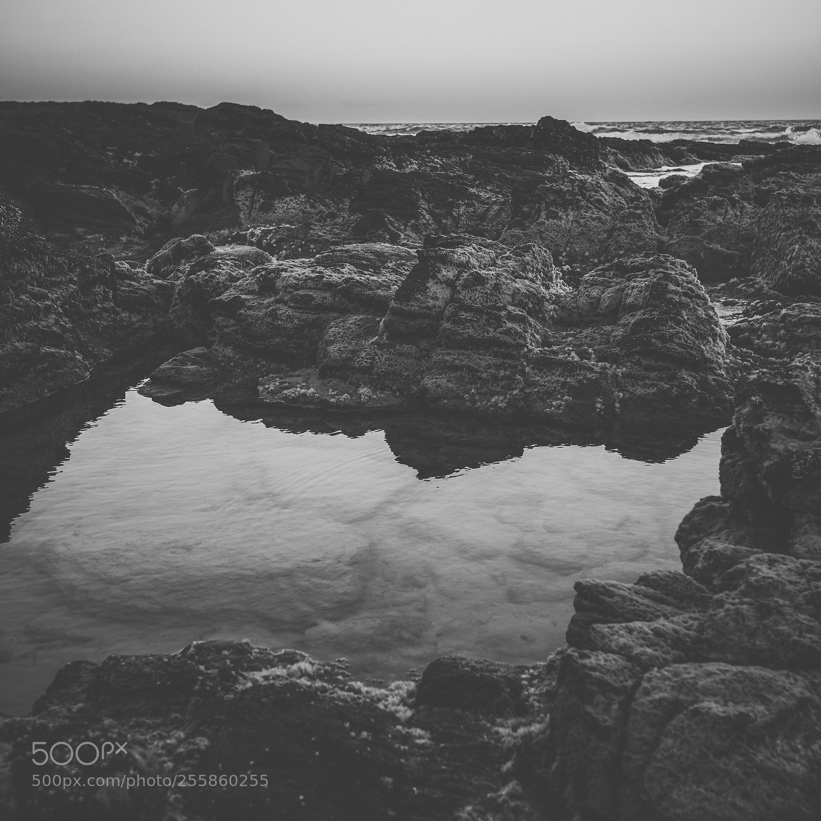 Nikon D800 sample photo. Coolum beach at the photography