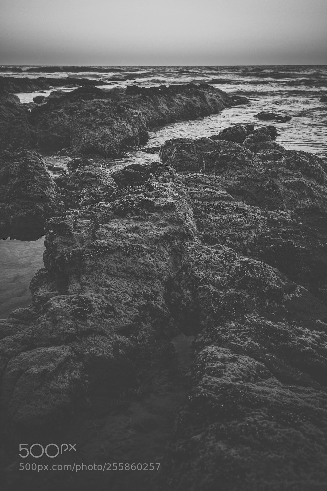 Nikon D800 sample photo. Coolum beach at the photography