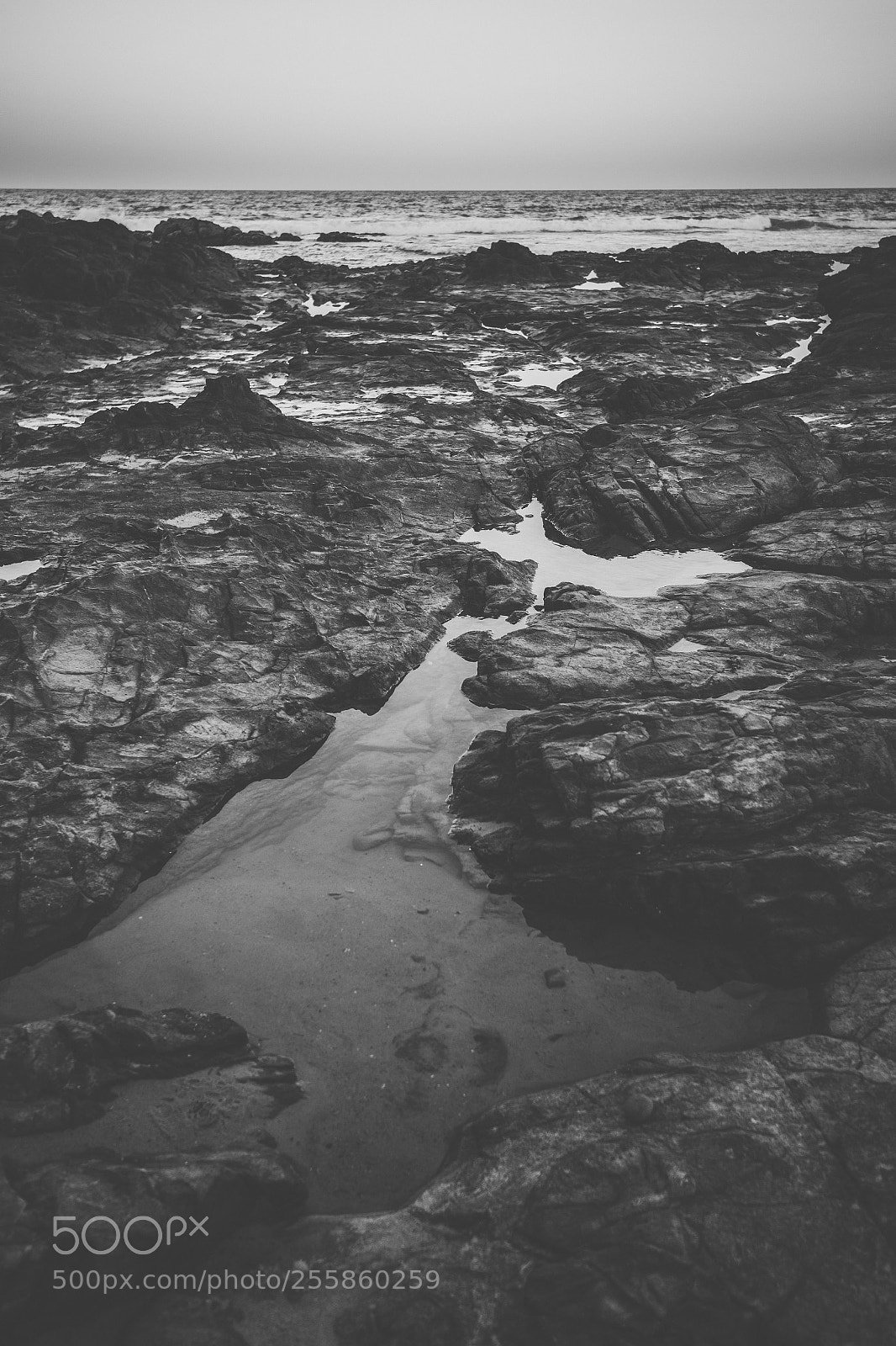 Nikon D800 sample photo. Coolum beach at the photography