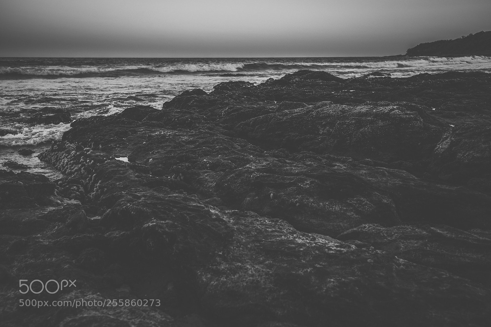 Nikon D800 sample photo. Coolum beach at the photography