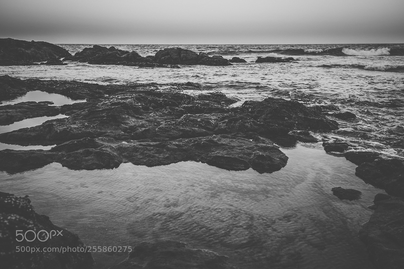 Nikon D800 sample photo. Coolum beach at the photography