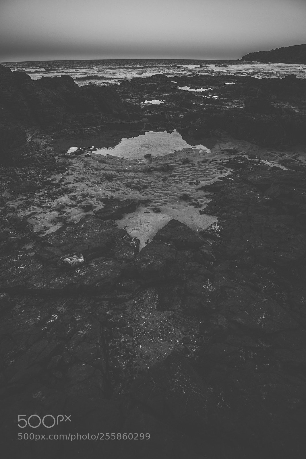 Nikon D800 sample photo. Coolum beach at the photography