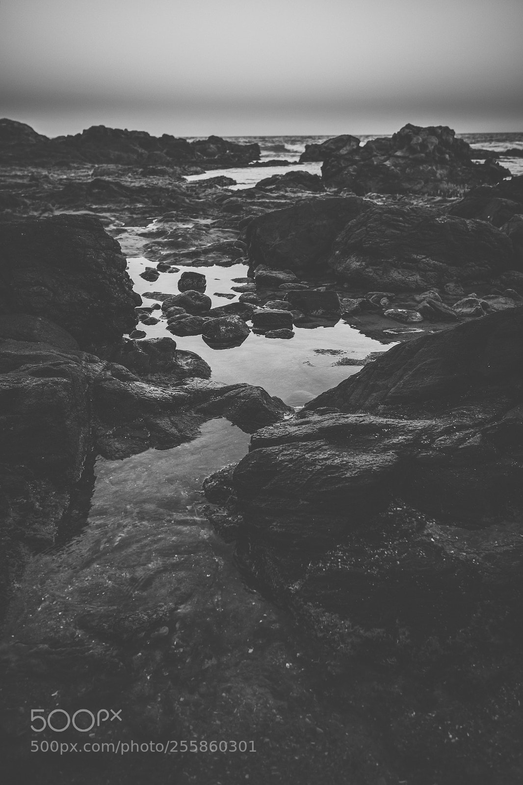 Nikon D800 sample photo. Coolum beach at the photography