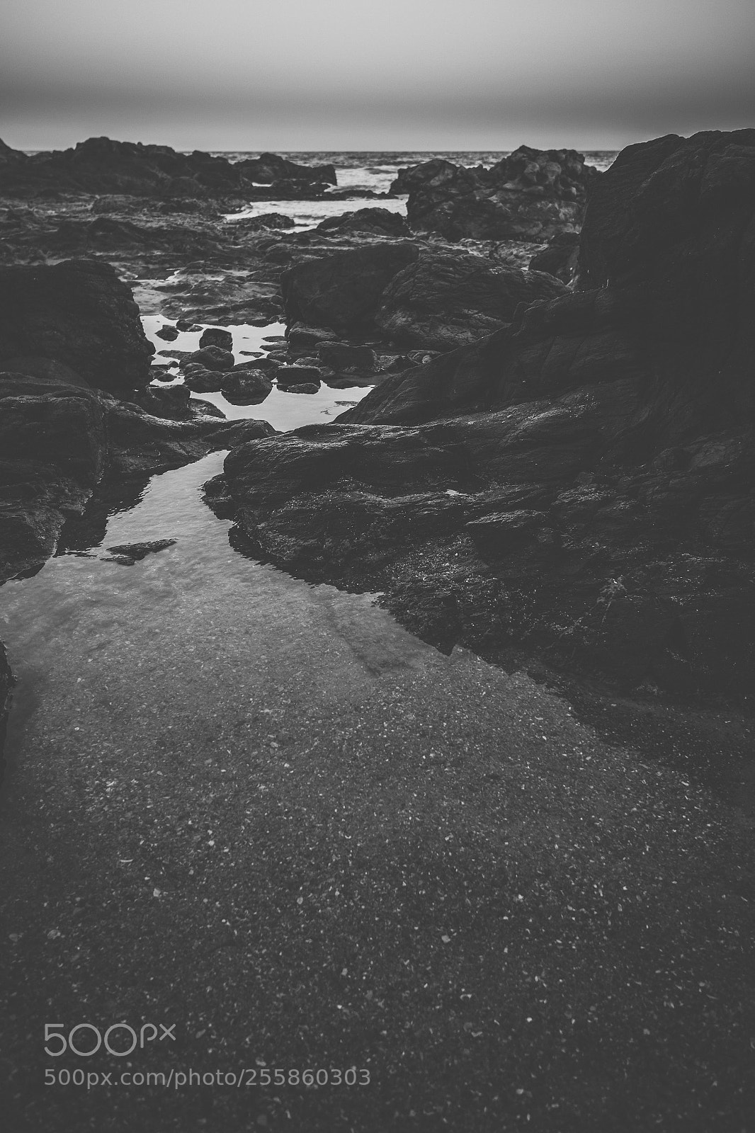 Nikon D800 sample photo. Coolum beach at the photography