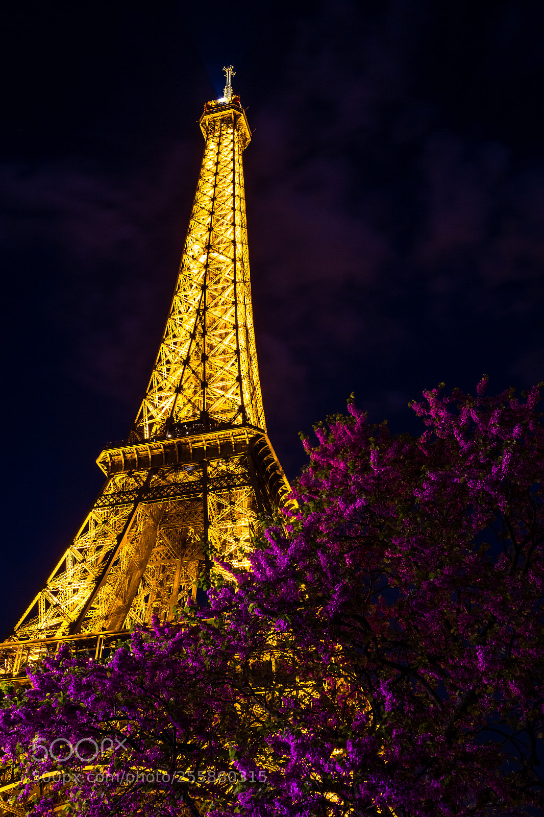 Canon EOS 100D (EOS Rebel SL1 / EOS Kiss X7) sample photo. Eiffel tower blossom photography
