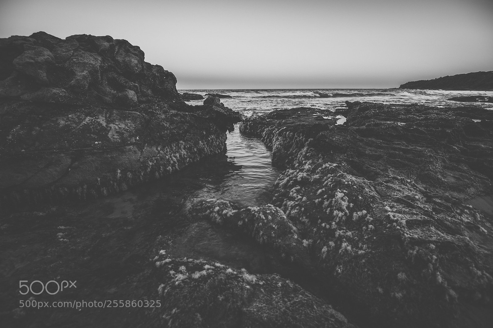 Nikon D800 sample photo. Coolum beach at the photography