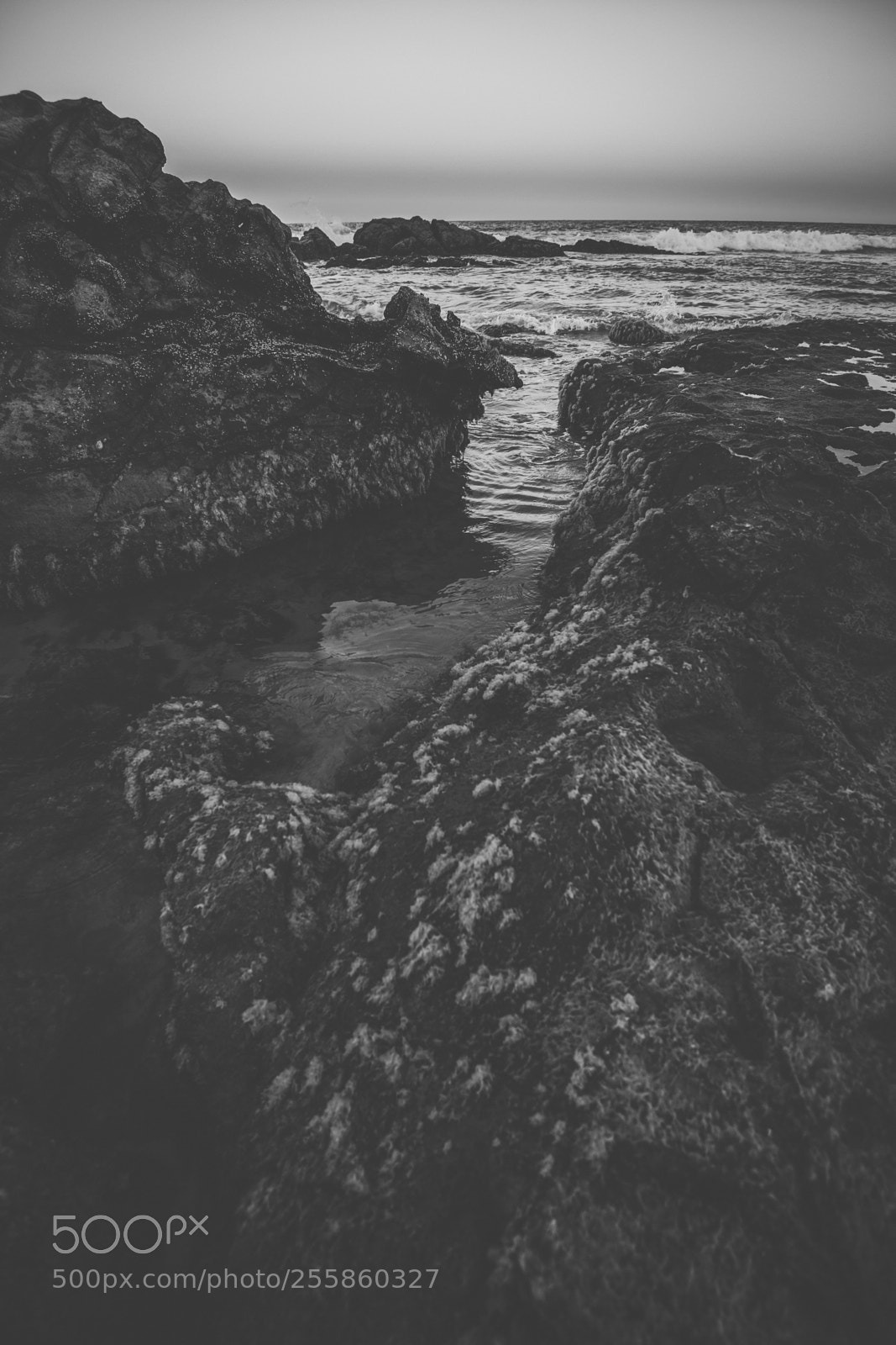 Nikon D800 sample photo. Coolum beach at the photography