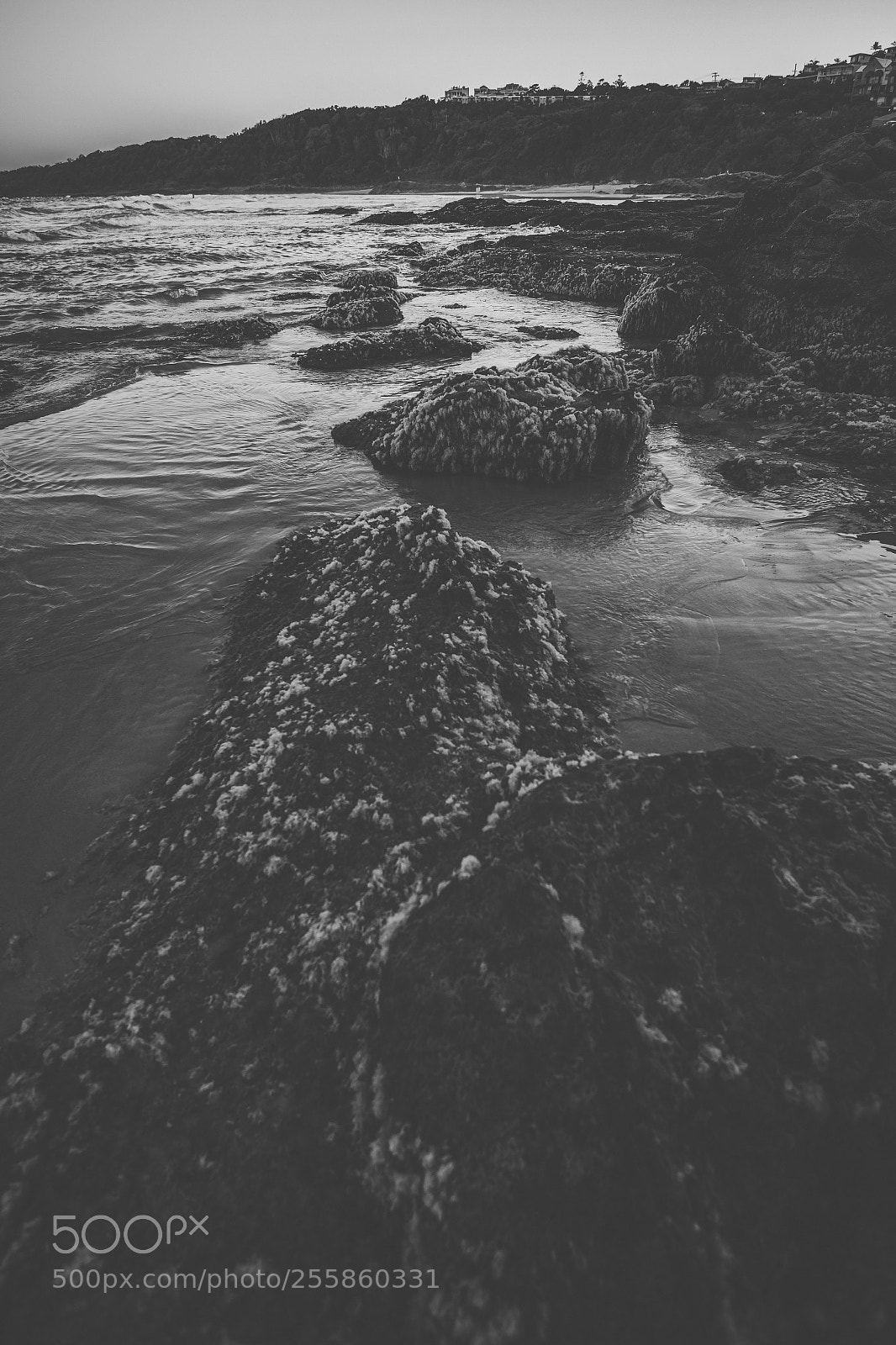 Nikon D800 sample photo. Coolum beach at the photography