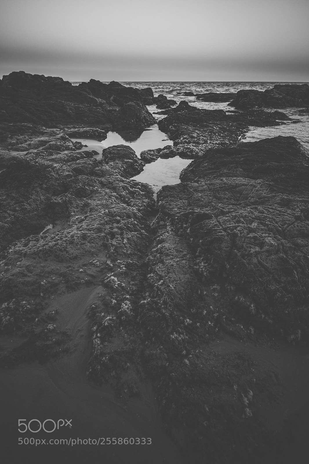 Nikon D800 sample photo. Coolum beach at the photography