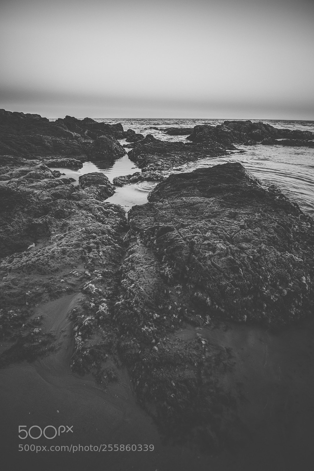 Nikon D800 sample photo. Coolum beach at the photography