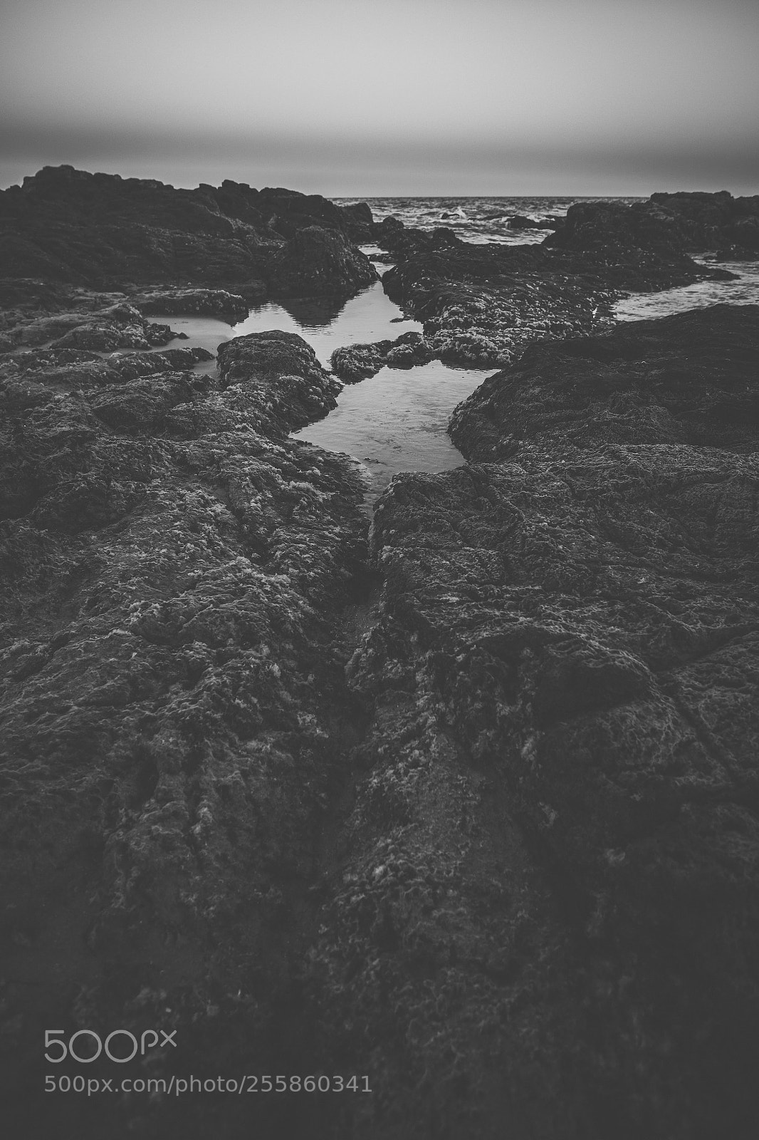 Nikon D800 sample photo. Coolum beach at the photography